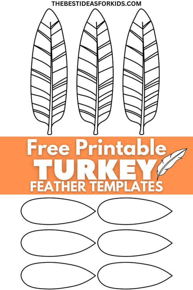 Turkey feather template free printables