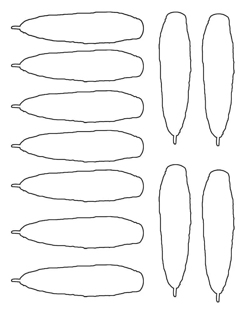 Free turkey feather template and body craft