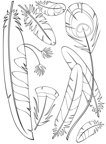 Feathers coloring page free printable coloring pages