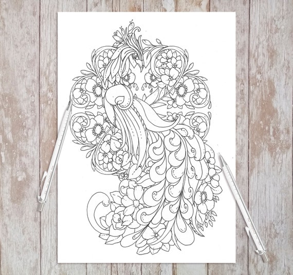 Feathers and flowers printable adult coloring pages coloring book pages for adults and kids coloring sheets colouring designs