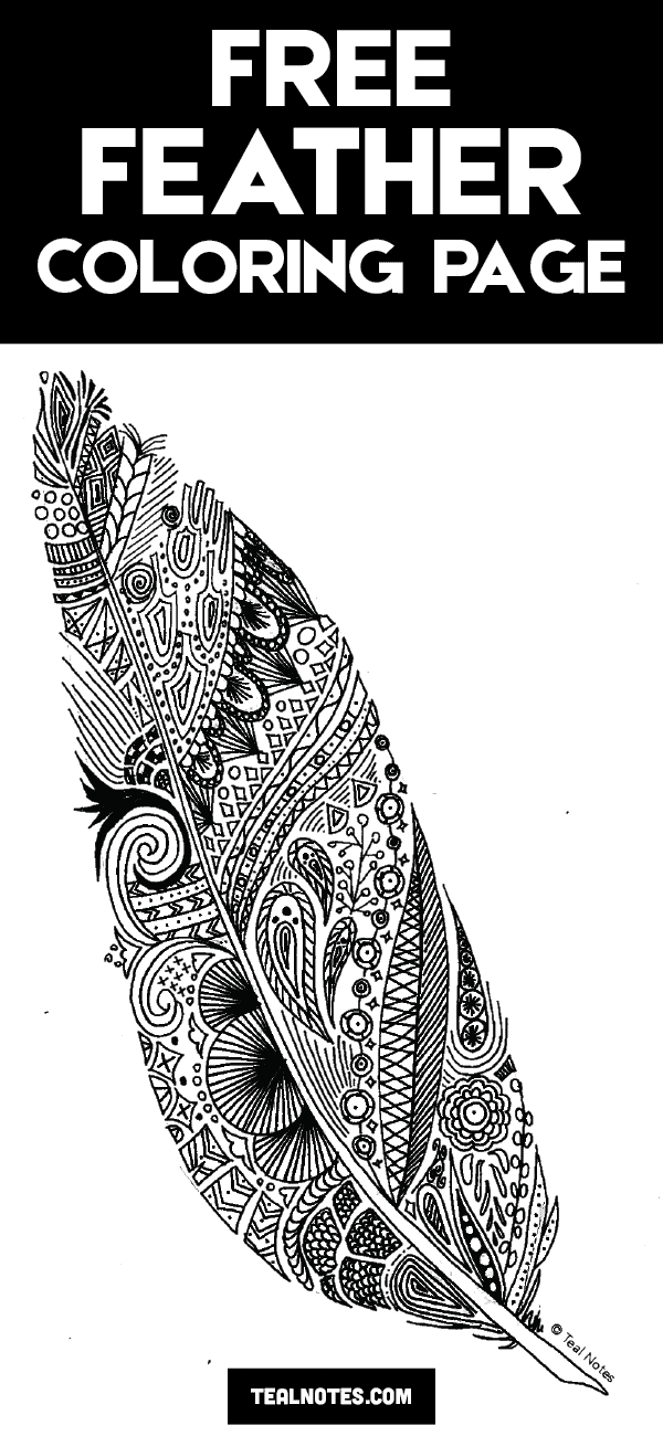 Free feather coloring page for adults and kids