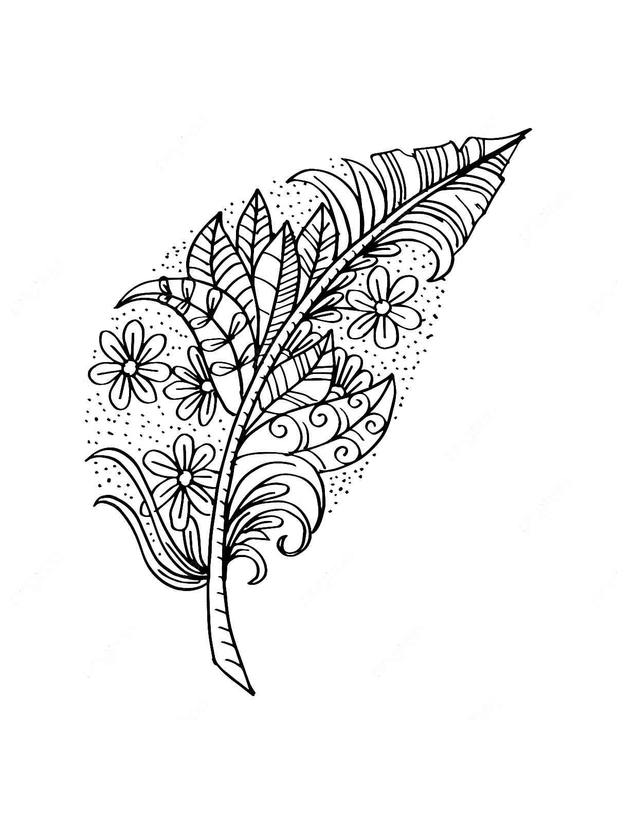 Feather coloring pages for adults