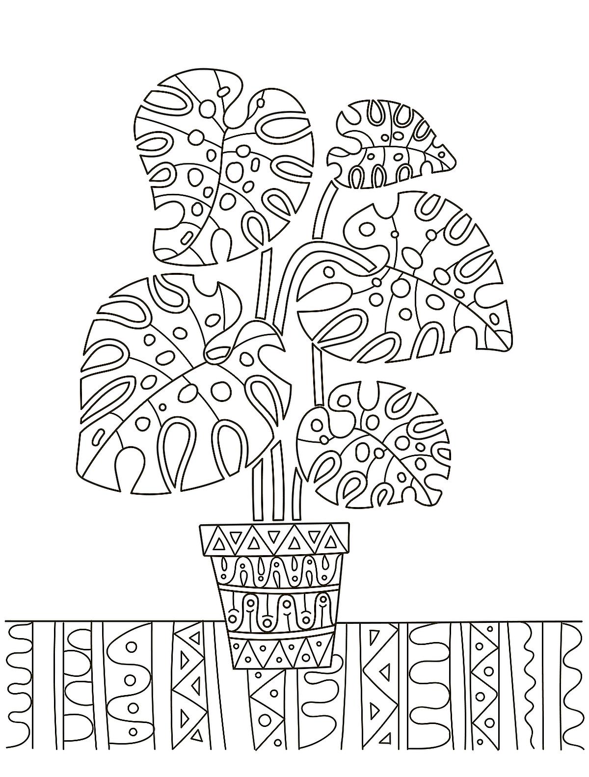 Houseplants coloring pages free printable coloring pages of plants for plant lovers printables mom