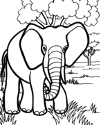 Free printable coloring pages for kids safe search