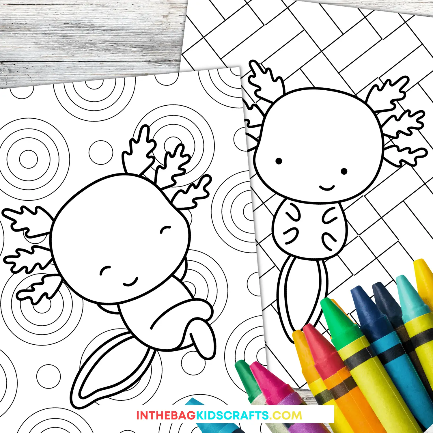 Axolotl coloring pages free printables â in the bag kids crafts