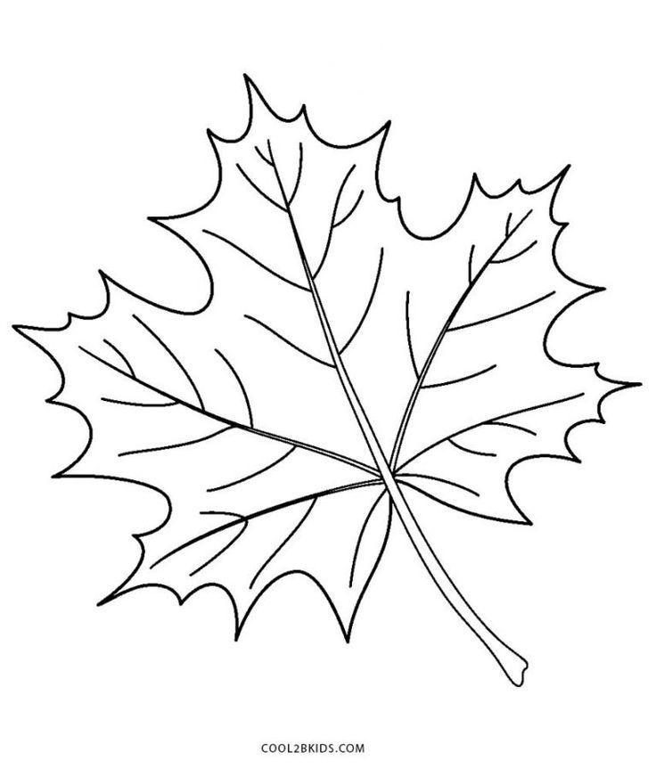 Free printable leaf coloring pages for kids leaf coloring page printable leaves leaf template