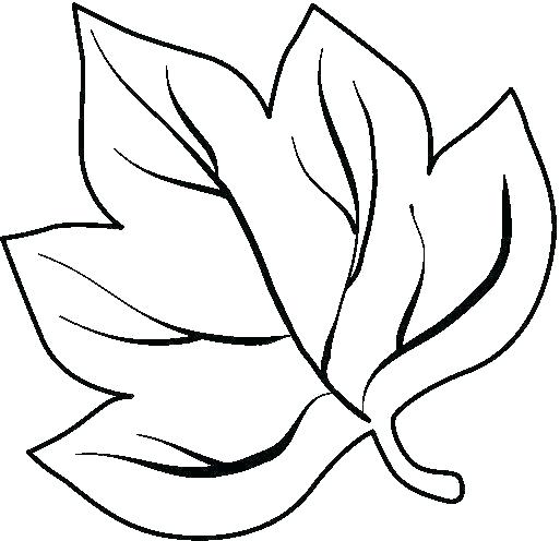 Coloring pages printable leaf coloring pages for kids