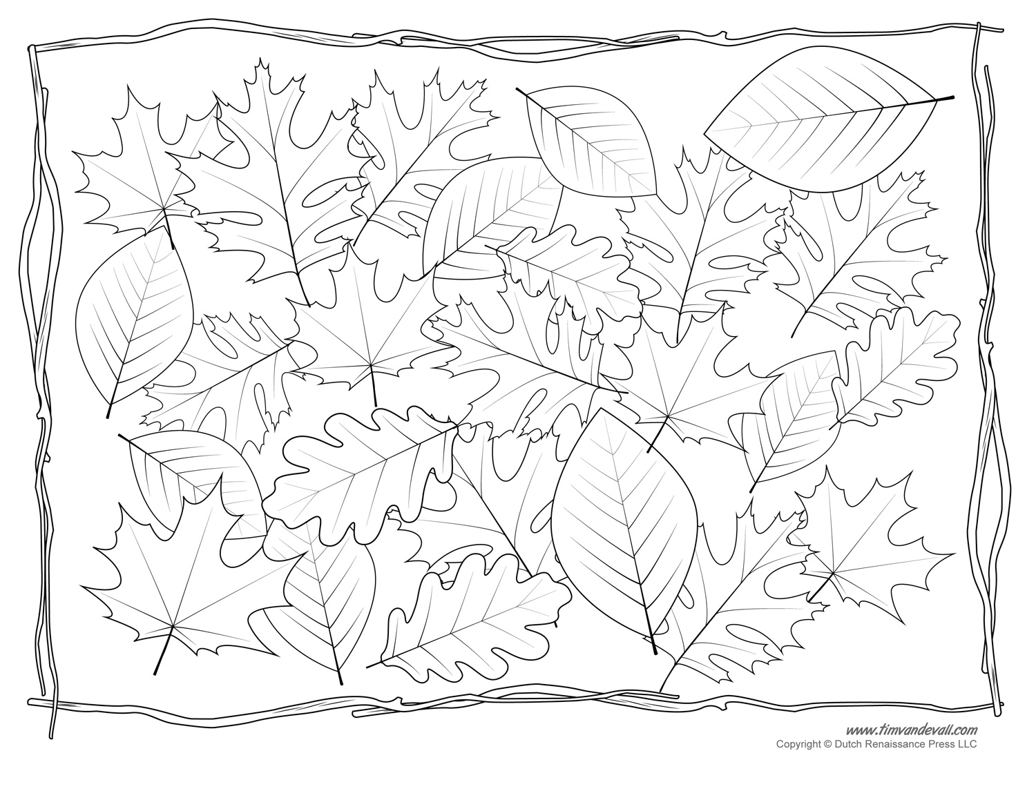 Leaf templates leaf coloring pages for kids leaf printables â tims printables