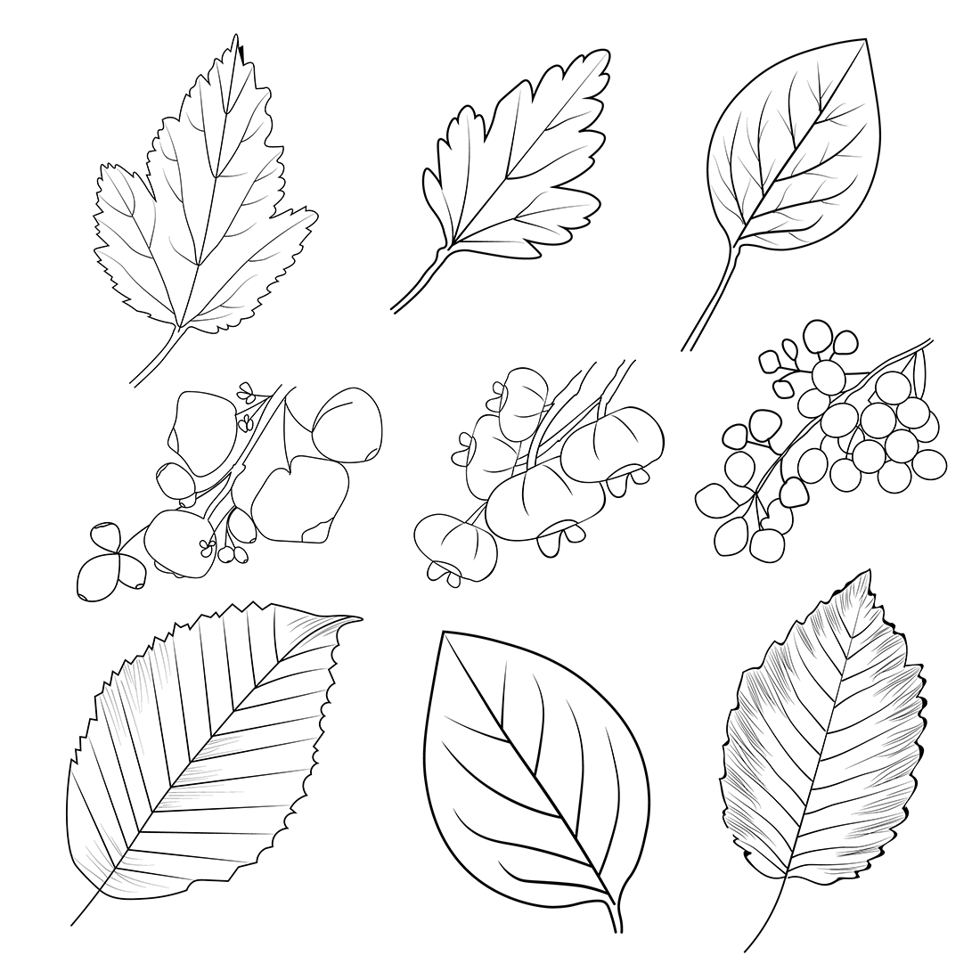 Set of autumn falling leaves vegetables pumpkin wheat grains leaf bell paper food nature thanksgiving coloring sheet free printable coloring pages