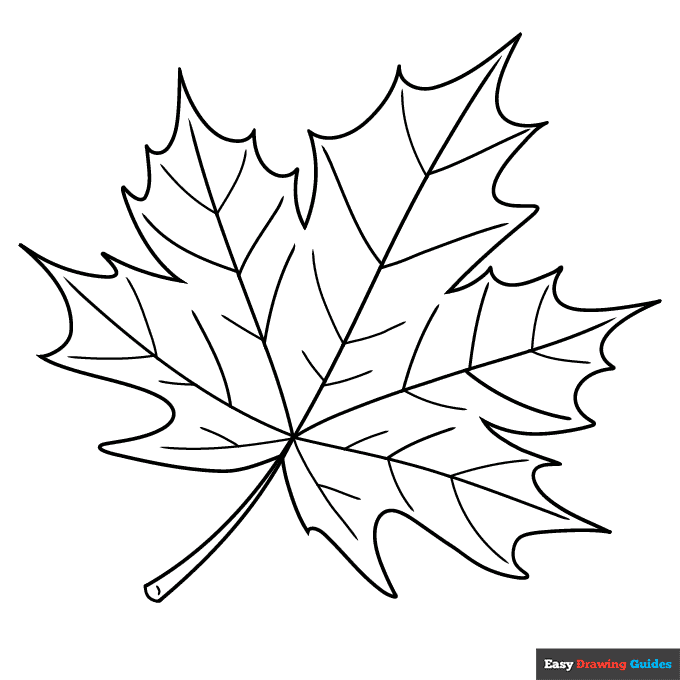 Maple leaf coloring page easy drawing guides