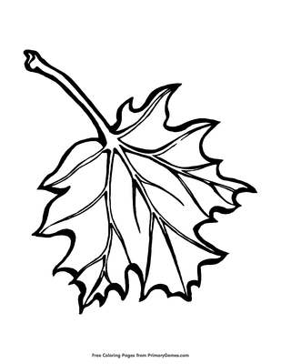 Fall leaf coloring page â free printable pdf from