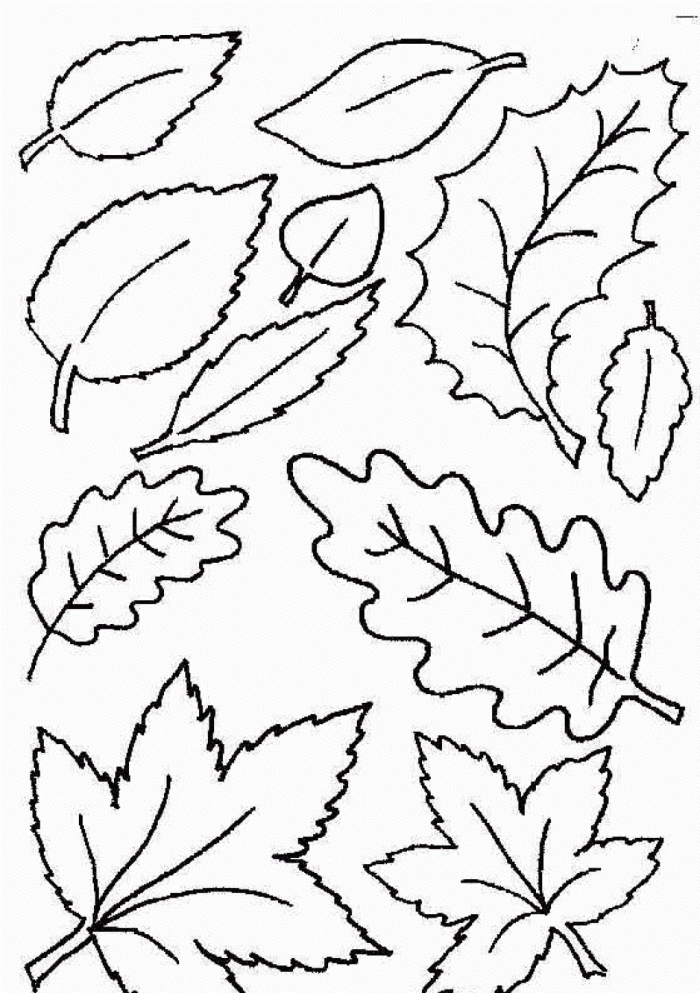 Coloring pages many leaf coloring pages