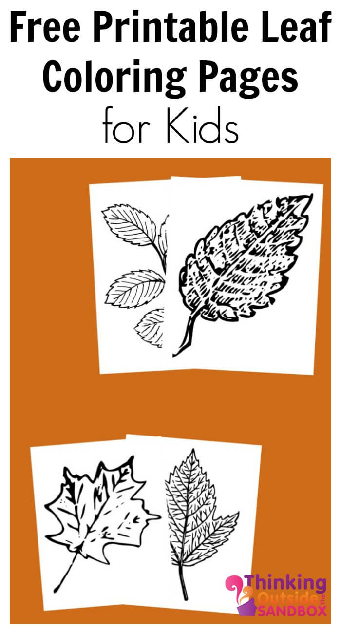 Free printable leaf coloring pages tots family parenting kids home food