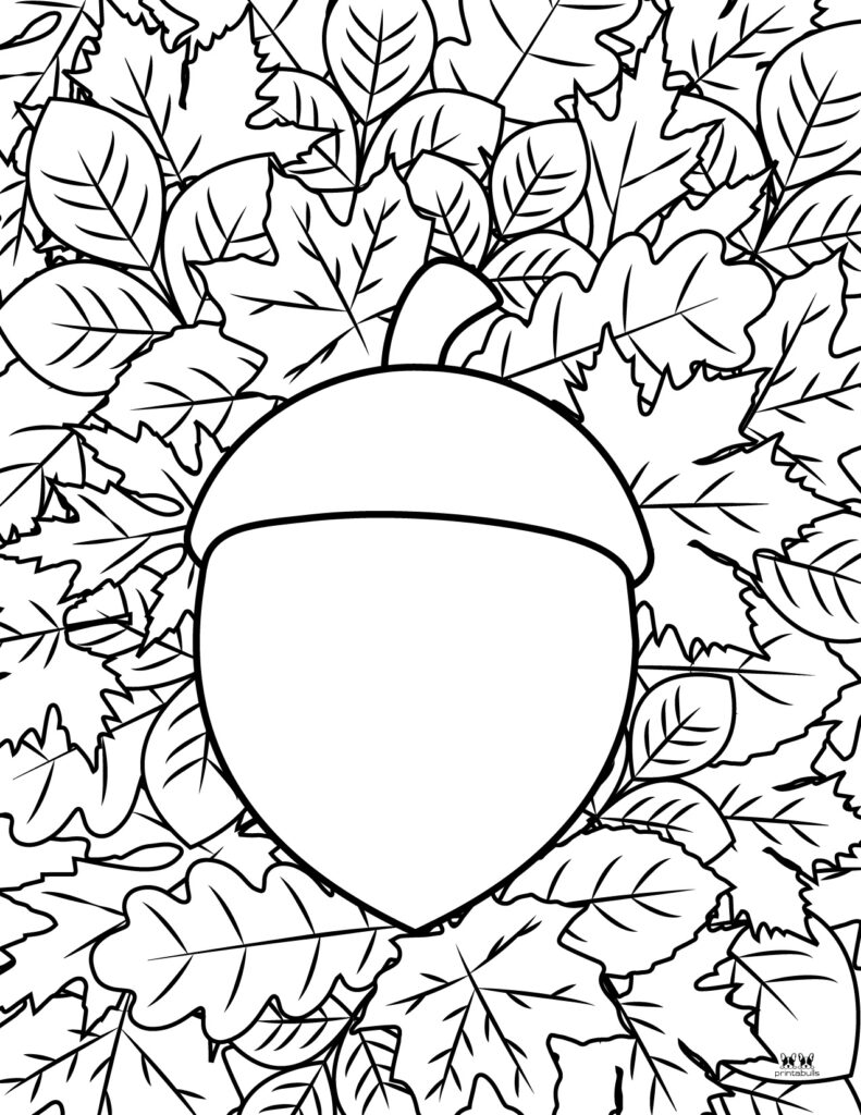Leaf outlines templates coloring pages
