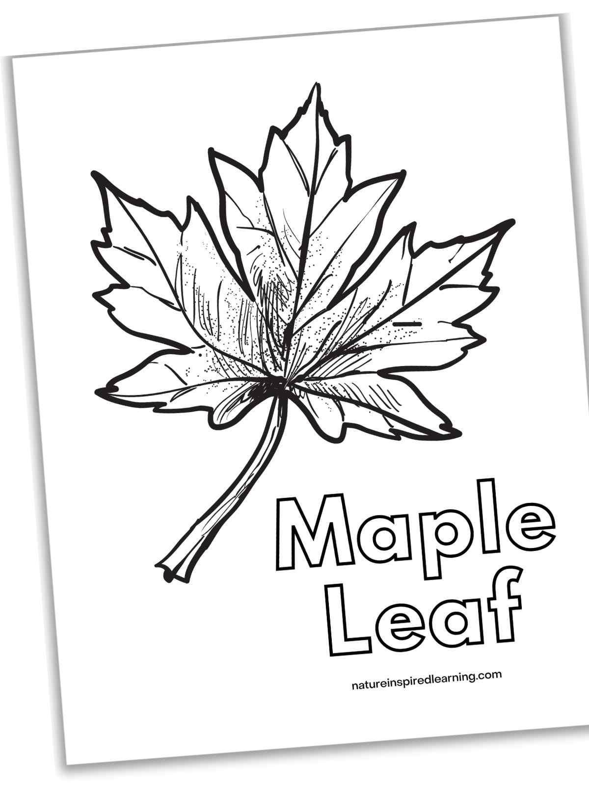 Fall leaf coloring pages perfect for autumn