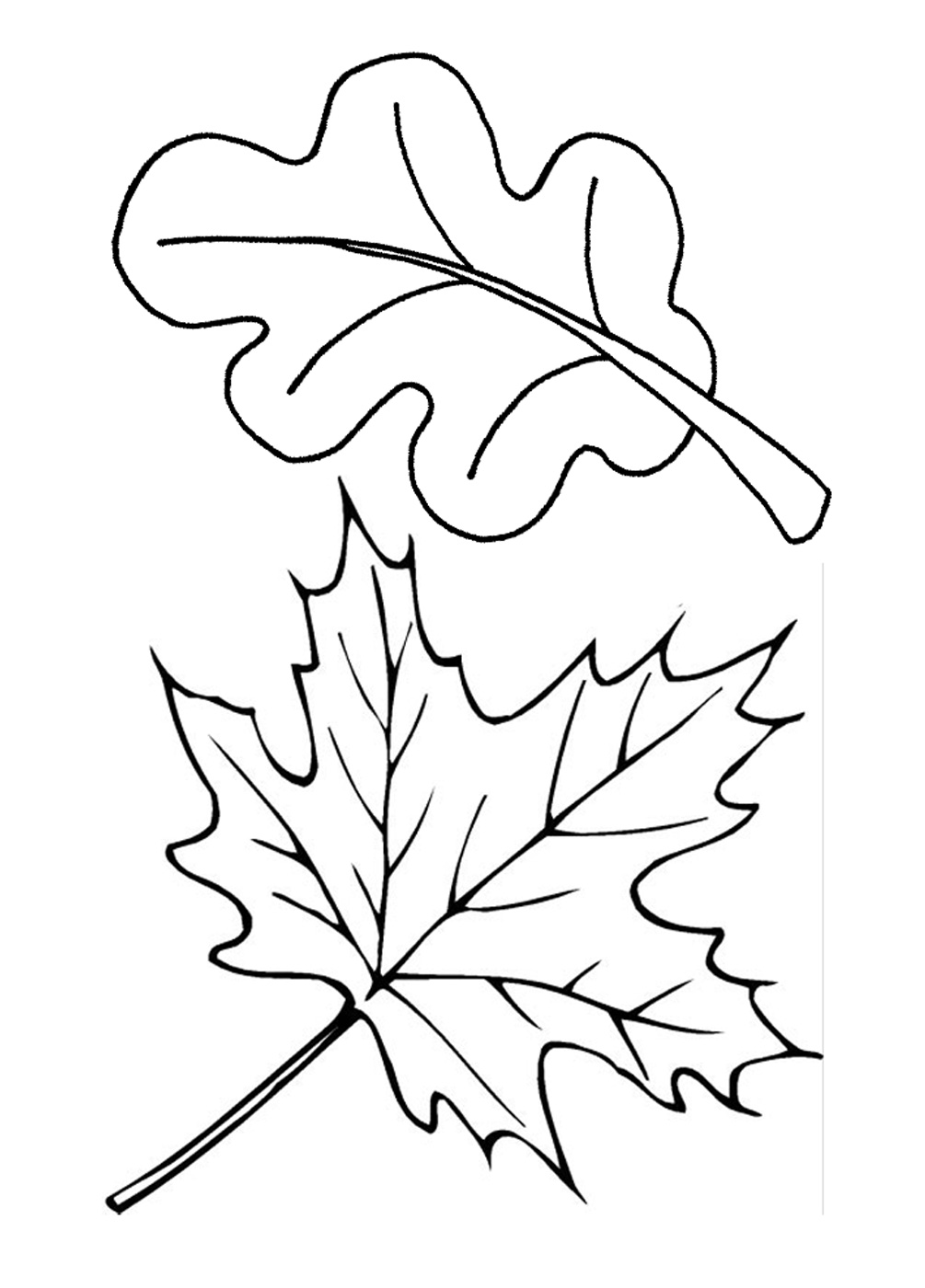 Coloring pages free printable leaf coloring pages