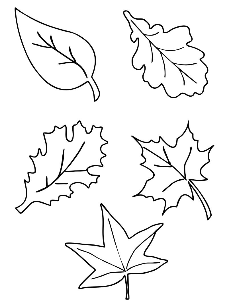 Fall leaf template free printable