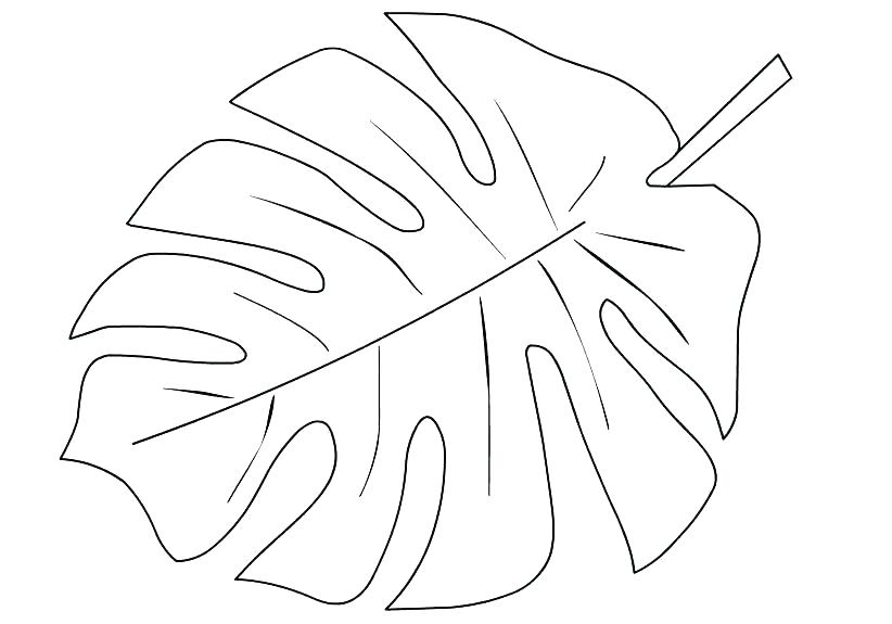 Coloring pages palm leaf coloring page