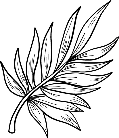 Palm leaf coloring page free printable coloring pages
