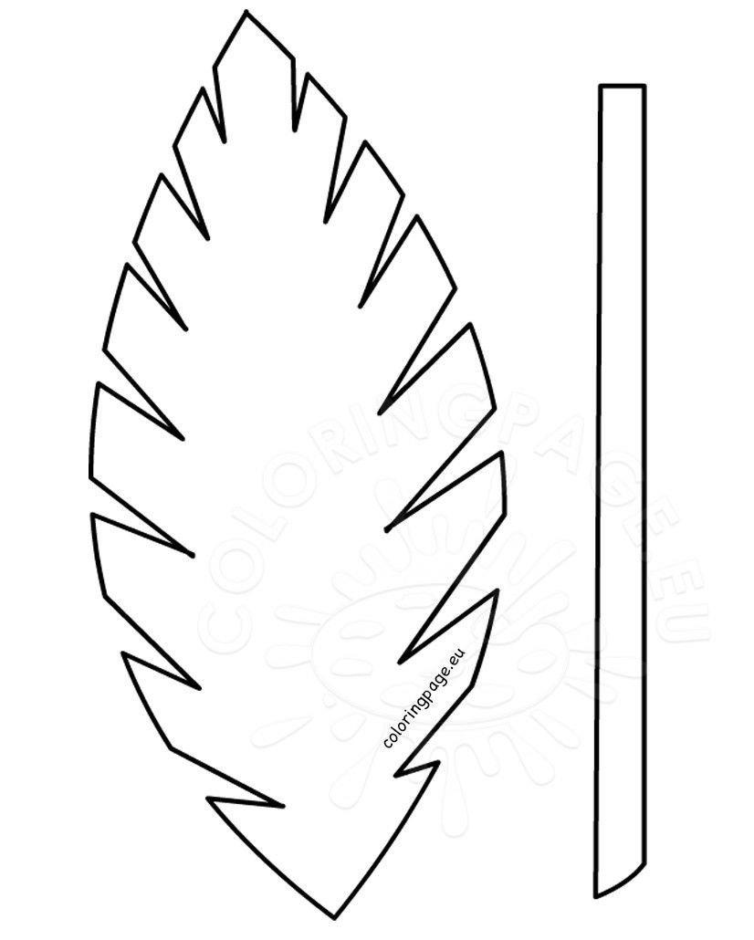 Palm leaf coloring pages printable for free download