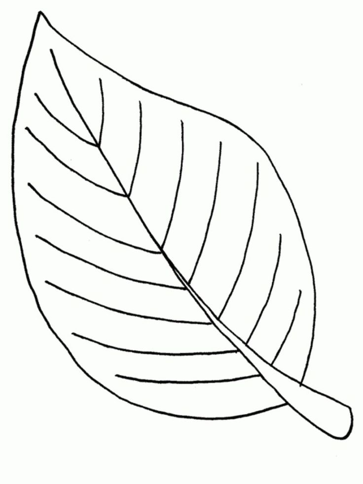 Leaf coloring page palm leaves coloring pages glandigoart