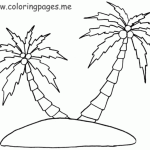 Palm leaf coloring pages printable for free download