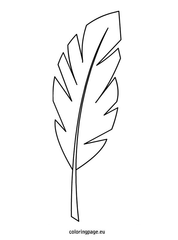 Palm branch template coloring page leaf coloring page palm branch leaf coloring