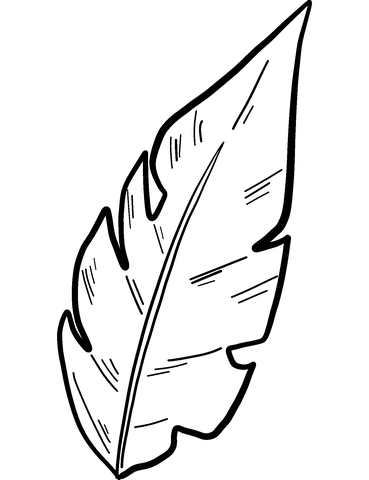 Palm leaf coloring page free printable coloring pages