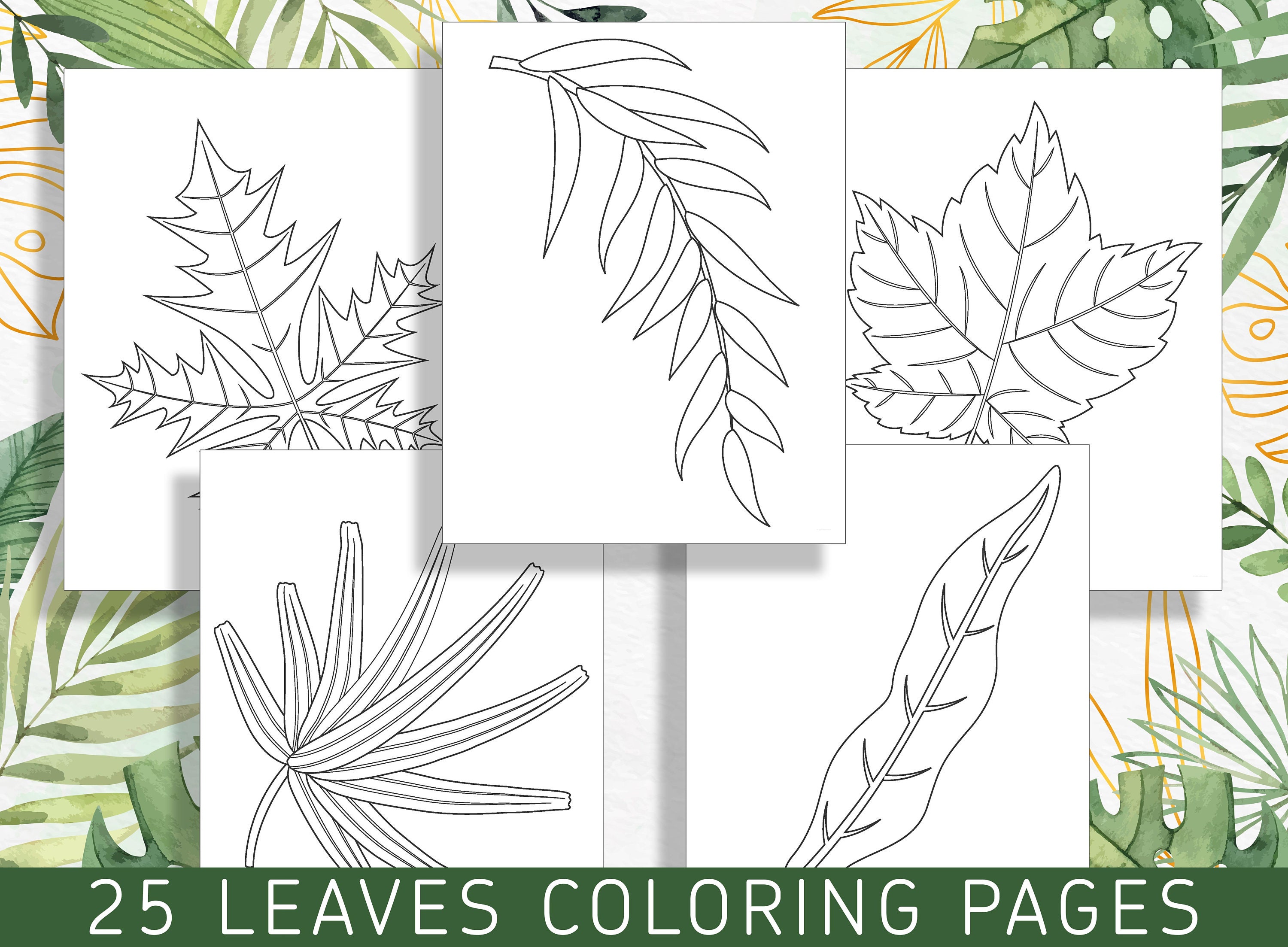 Escape to nature exquisite leaf coloring pages for stress relief and relaxation pdf file instant download