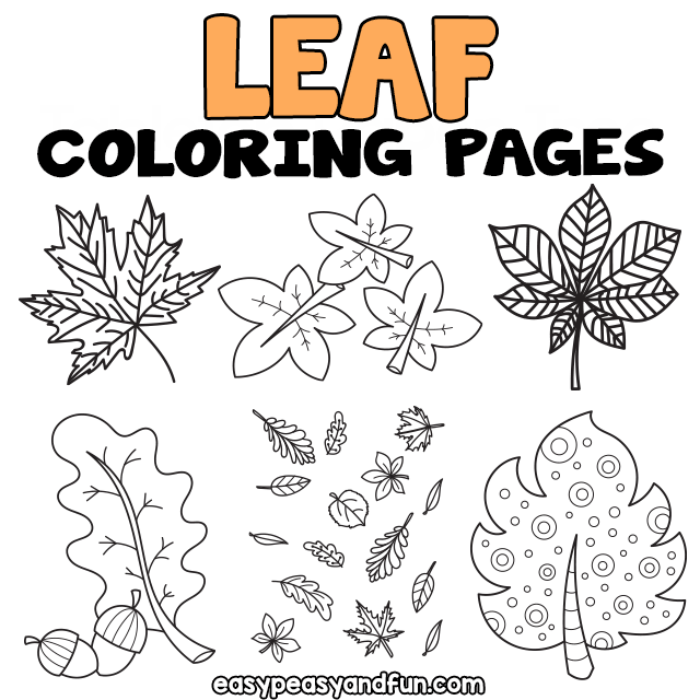 Printable leaf coloring pages â sheets