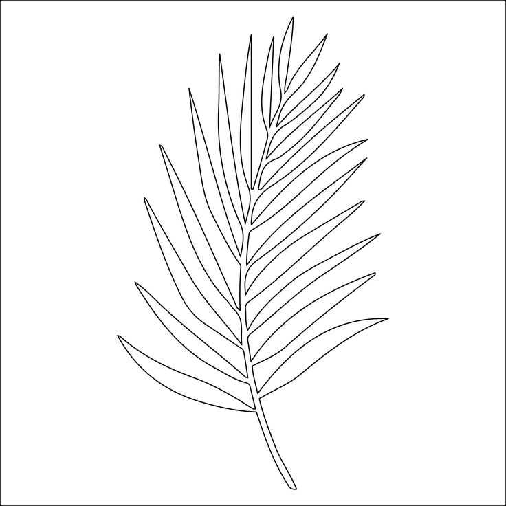 Best palm leaf template printable pdf for free at printablee leaf template printable leaf template palm leaves