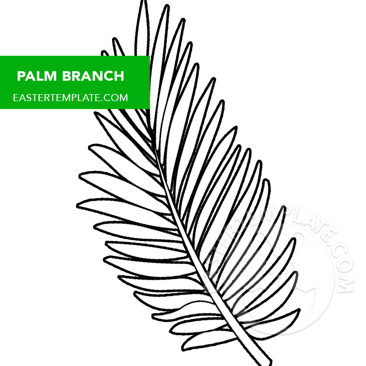 Palm branch coloring page