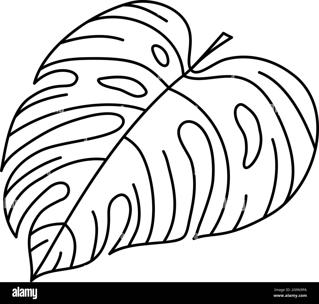 Single monoline vector drawing exotic tropical leaf monstera plant printable decorative houseplant concept for home wall decor poster ornament stock vector image art