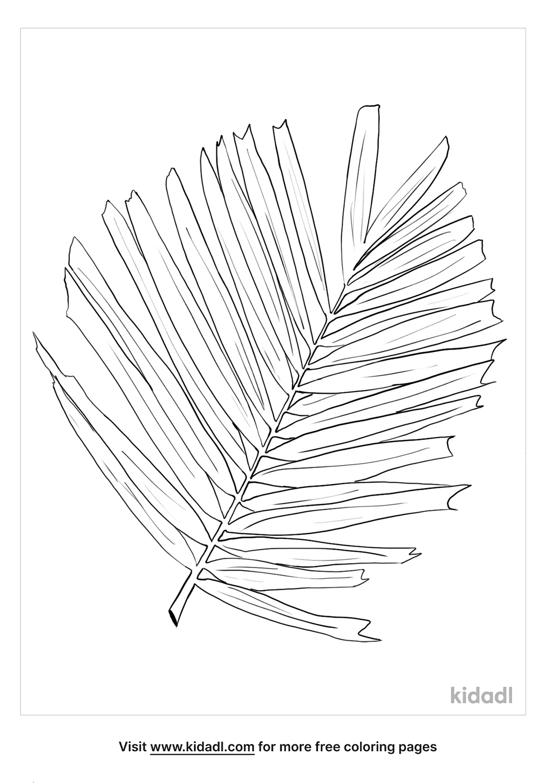 Free palm leaf coloring page coloring page printables