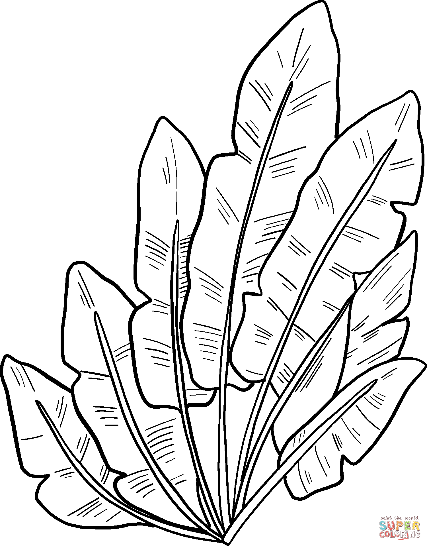 Palm leaves coloring page free printable coloring pages