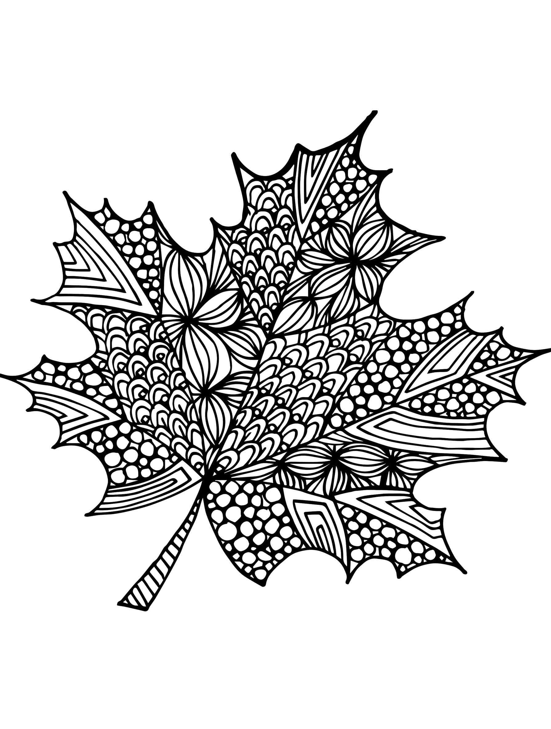 Leaves coloring pages for adults