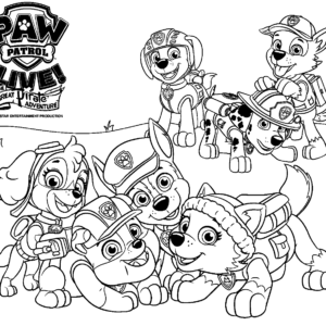 Rocky paw patrol coloring pages printable for free download