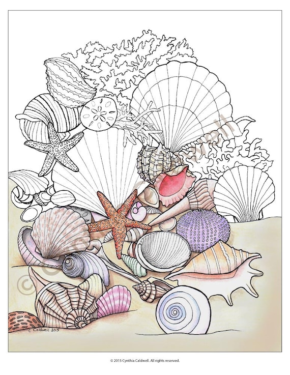 Seashells coloring page instant download