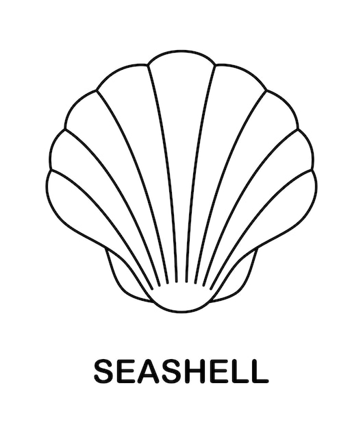 Premium vector coloring page with seashell for kids