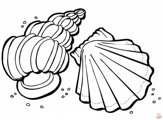 Shell coloring pages a fun and educational activity for kids