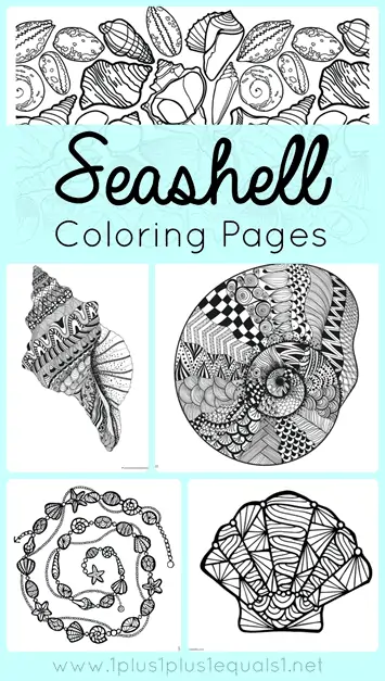 Free seashell coloring pages