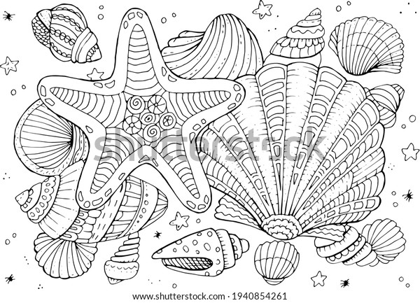 Sea shell coloring page images stock photos d objects vectors