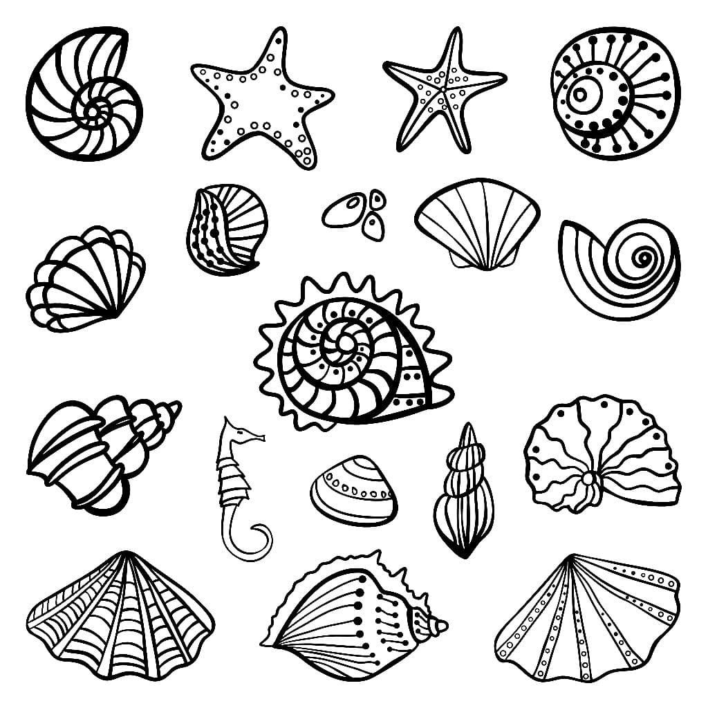 Shell coloring pages free printable coloring pages
