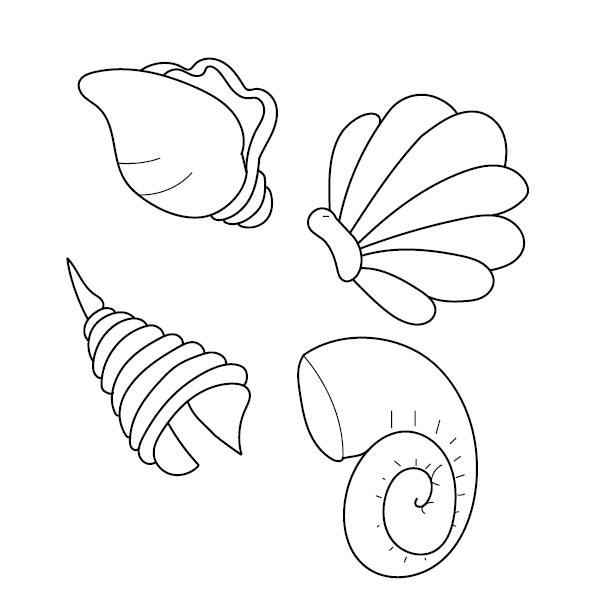 Seashell colouring page free colouring book for children â monkey pen store