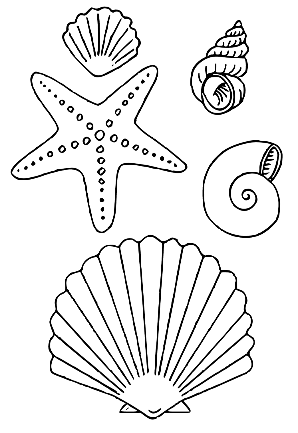 Free printable seashell various coloring page for adults and kids