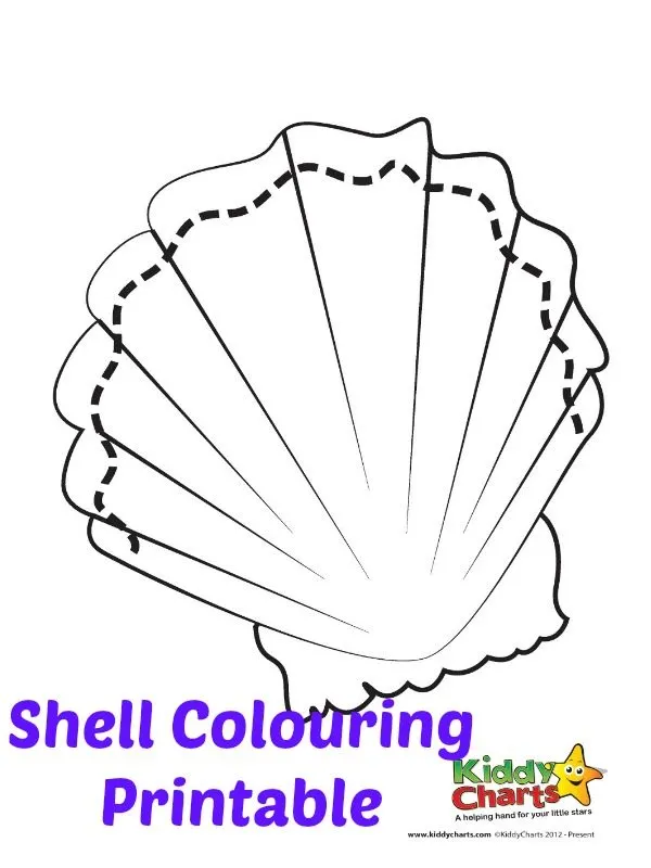 Shell printable sheet