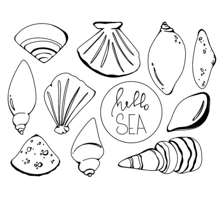 Hello seashell coloring page