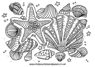 Seashell doodle louring page