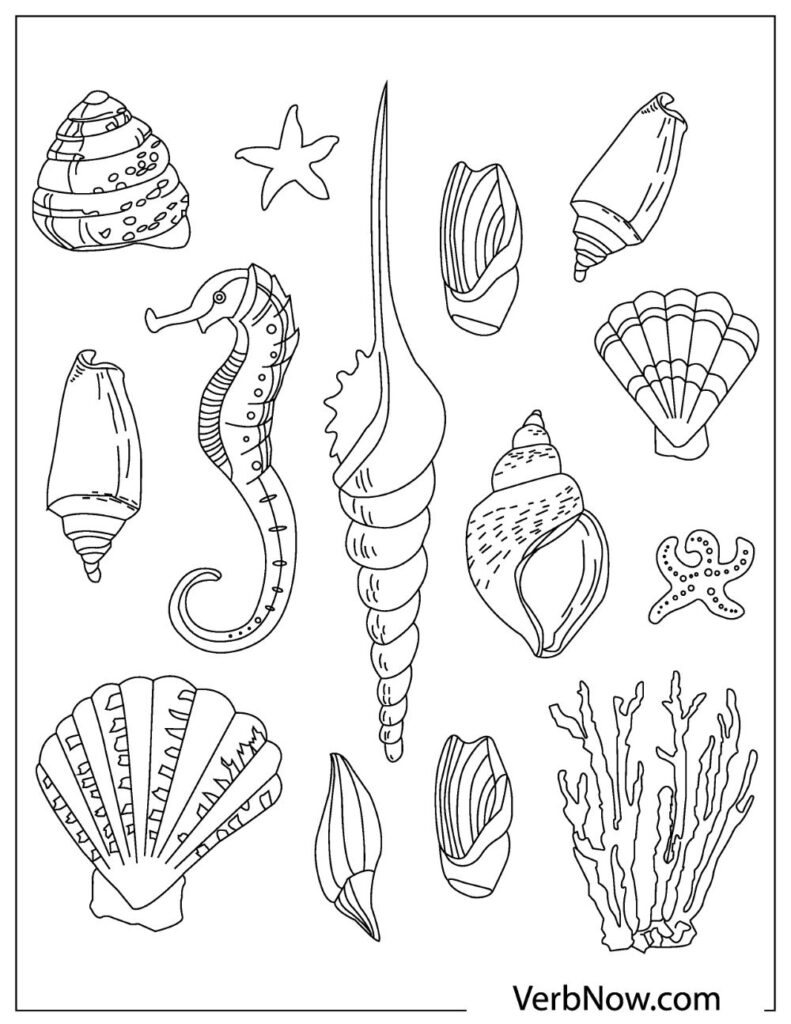 Free shells coloring pages for download pdf