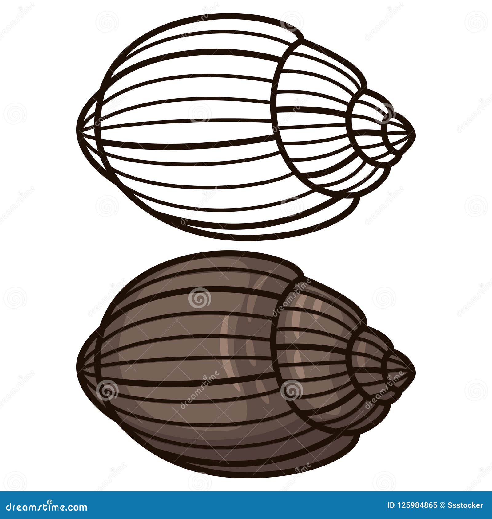 Outline seashell coloring page and flat icon stock vector